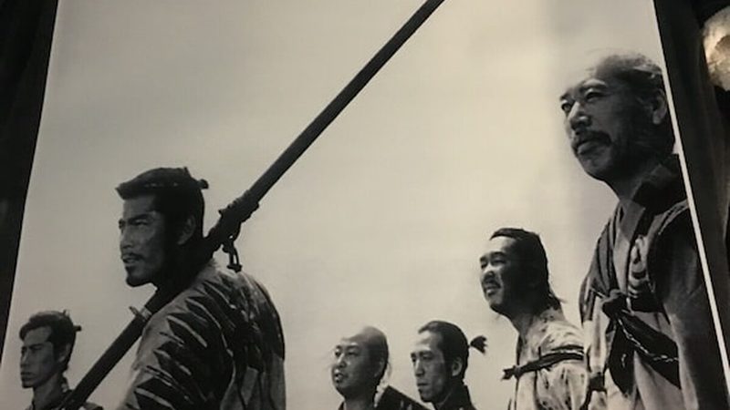 广州绿植租赁定制方案：如何打造绿色生态景观**