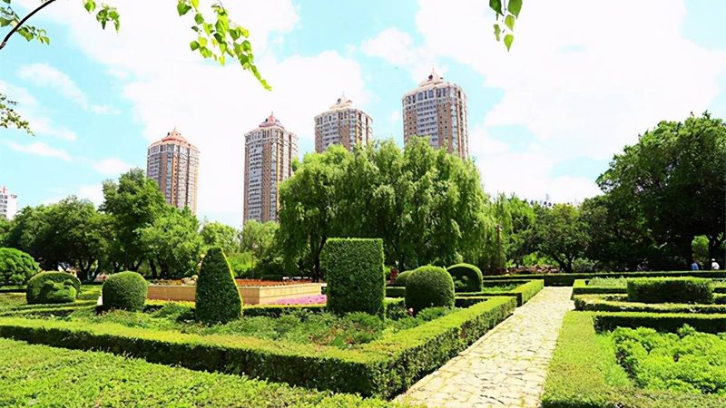 上海垂直绿化植物选择：因地制宜，打造生态景观