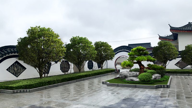 上海绿植租赁市场解析：价格因素与选择要点**