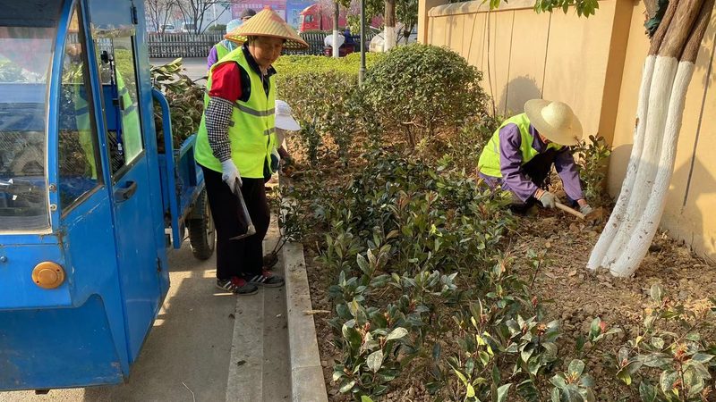 道路绿化带排水设计：优缺点解析