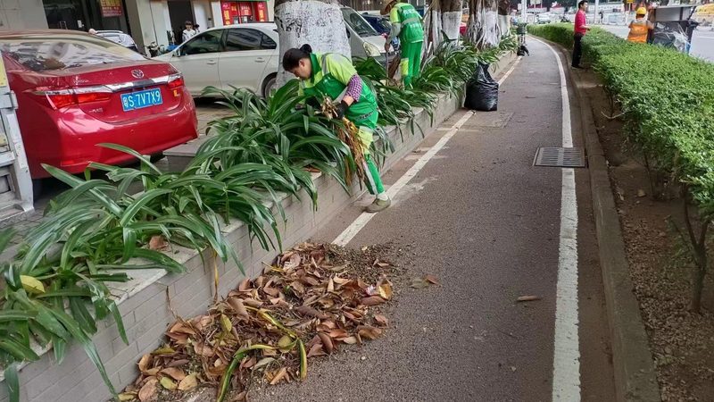 写字楼绿植租摆安装流程