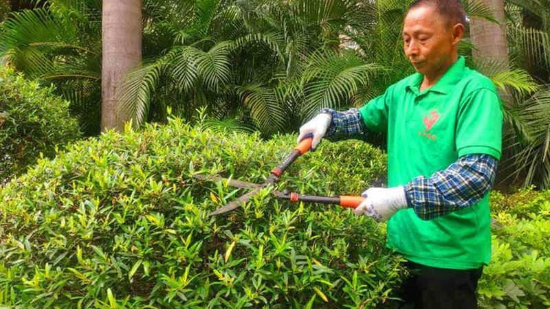 草坪铺设厂家直销批发