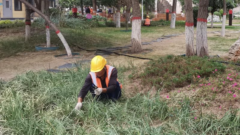 园林设计费用：影响因素与合理评估**