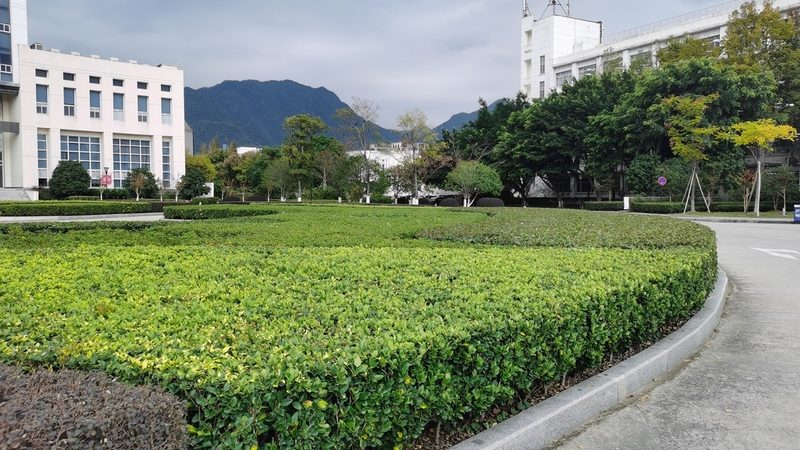 市政绿化养护工人：守护城市绿意的守护者**