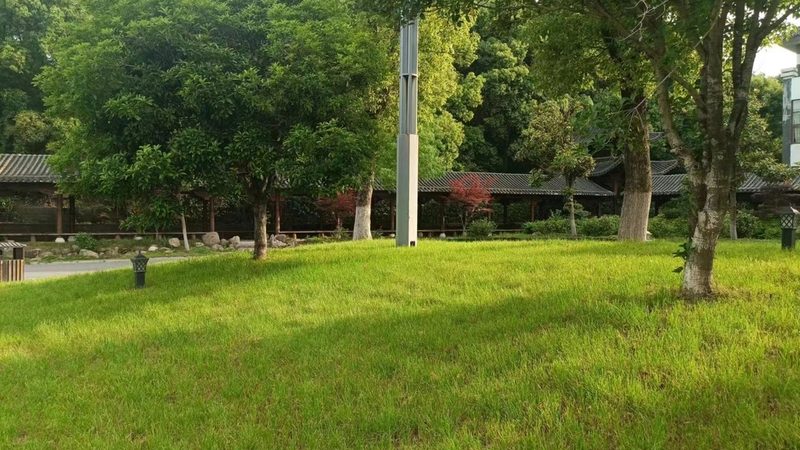 工厂绿化工程环保要求：解读与实施要点