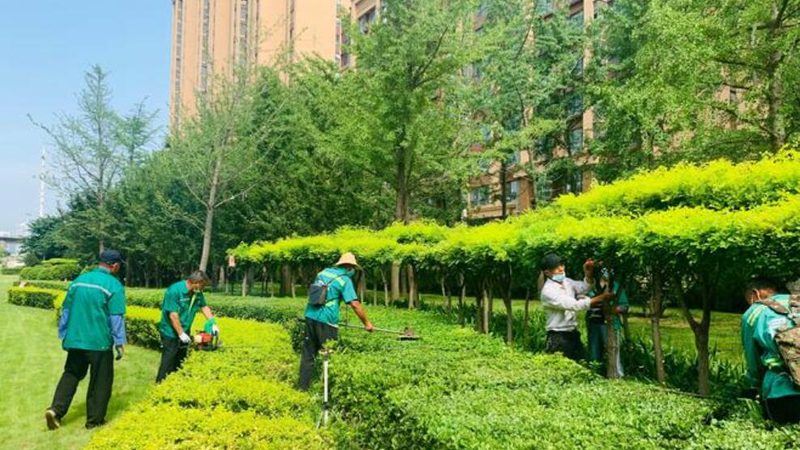 园林绿化工程公司如何甄选，关键在于细节与规范**
