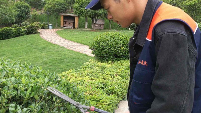 小型苗木种植加盟，如何选择十大品牌？**