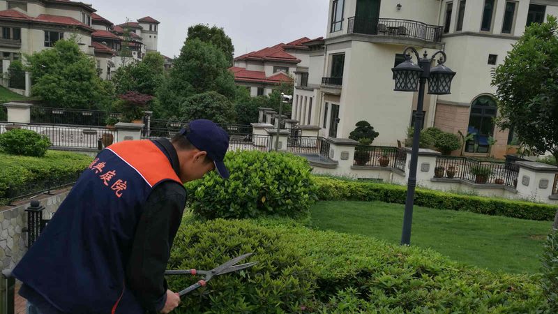 以下列举几家在上海具有较高知名度和良好口碑的屋顶绿化公司，供您参考：