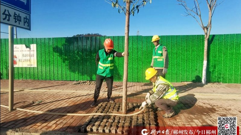 措施费的计算方法通常有以下几种：