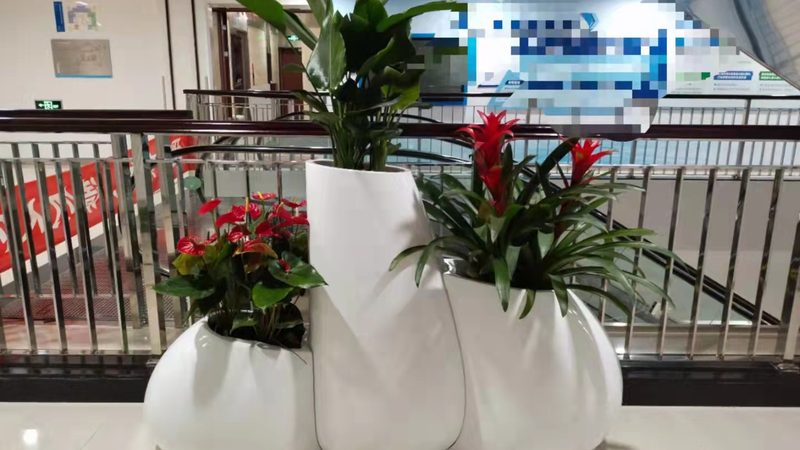 边坡抗冲刷草种如何选择：关键因素与注意事项